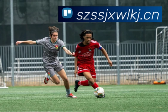 J9国际站官方网站 - J9集团平台生态图